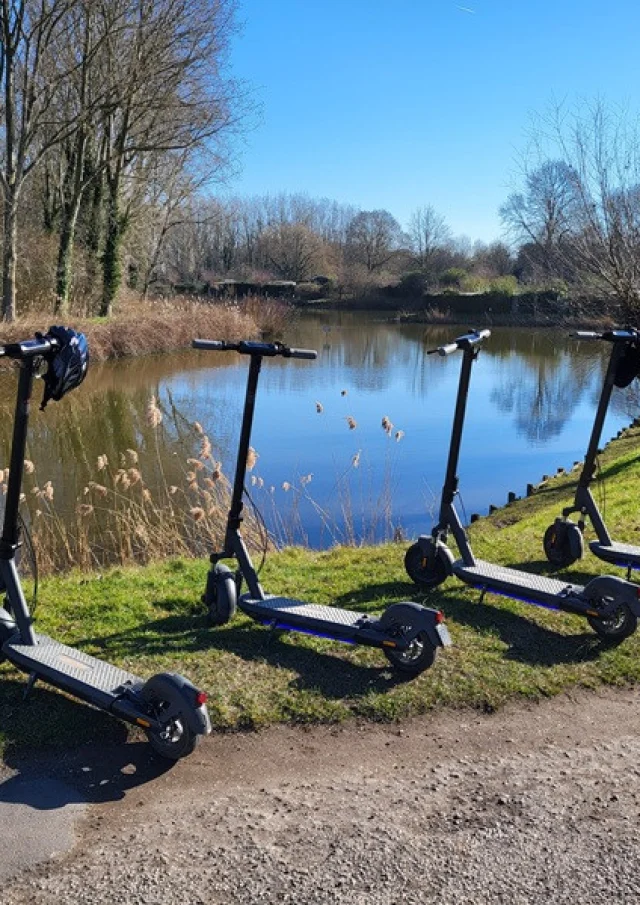 Trottinettes Électriques