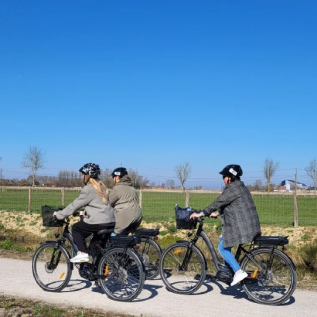 Vélos Electriques Terre De Flandre Tourisme