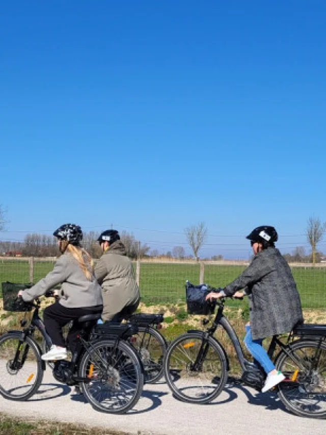 Vélos Electriques Terre De Flandre Tourisme