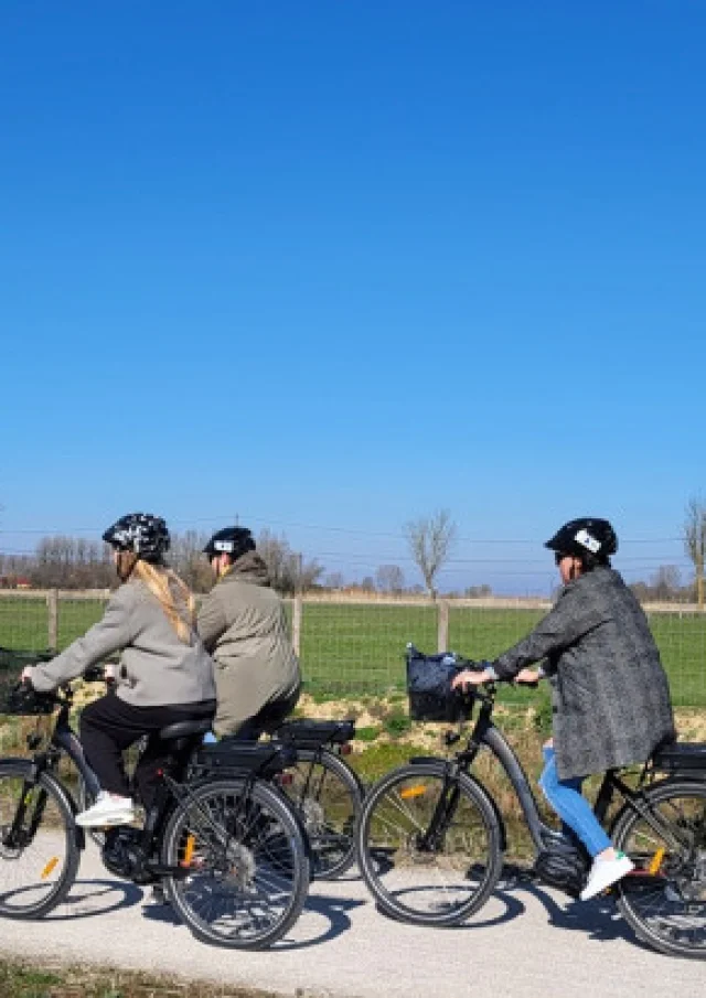 Vélos Electriques Terre De Flandre Tourisme