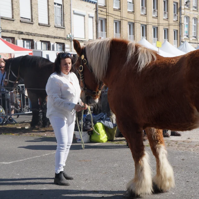Cchf Foire Des Rameaux Bergues