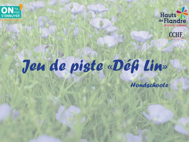 Le Defi Lin