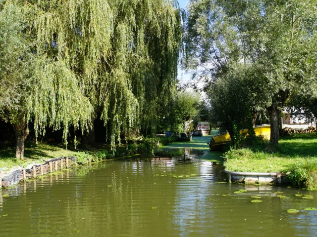 Marais de Booneghem