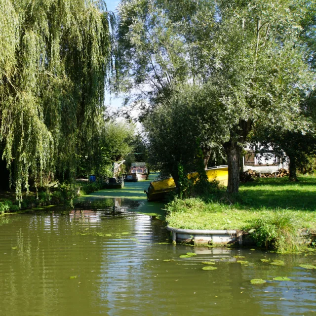 Nieurlet marais