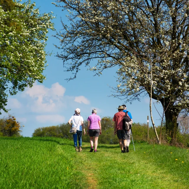 Randonneurs en campagne