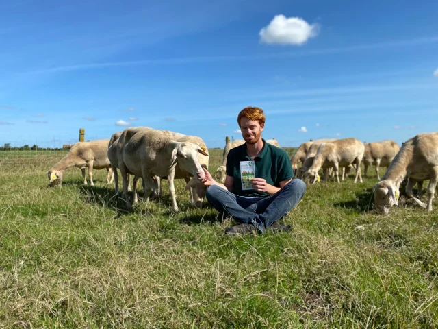 Sebastien Et Les Brebis Laitiere Ferme Haezepoel