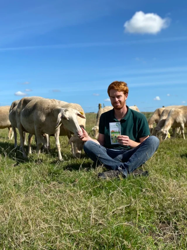 Sebastien Et Les Brebis Laitiere Ferme Haezepoel