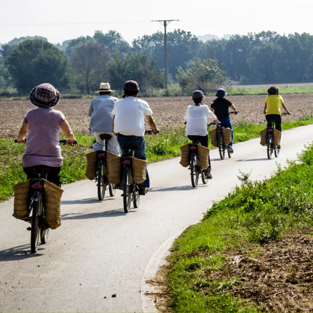 Terre De Velo