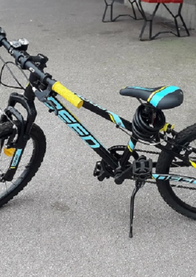 Vélo Enfant Garçon 20 Pouces