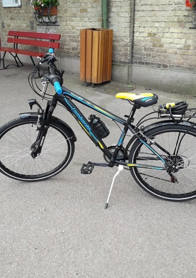 Vélo Enfant Garçon