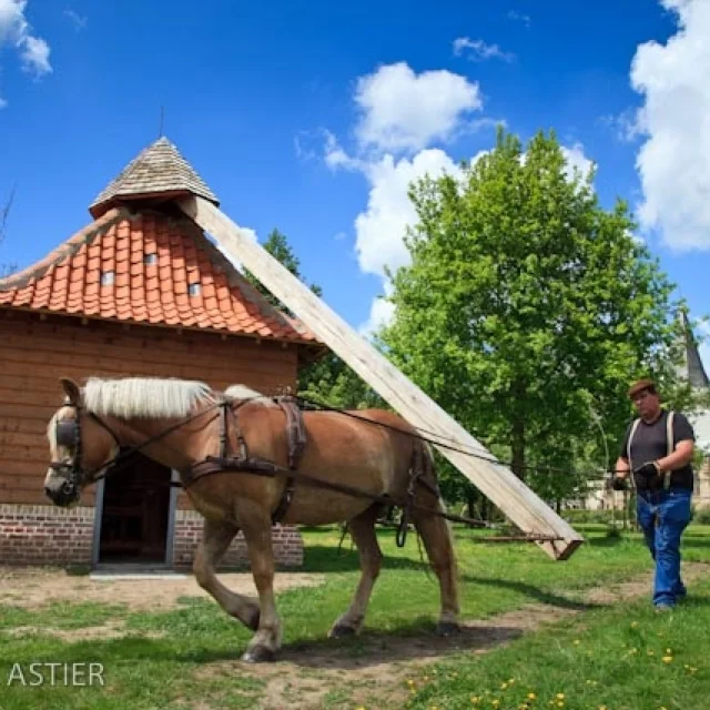 Le moulin a cheval ou Assekot, reconstruit au coeur du village par Mrs J. Bruggeman et M. Thoorens, est anime par le Haflinger de M Devisscher.