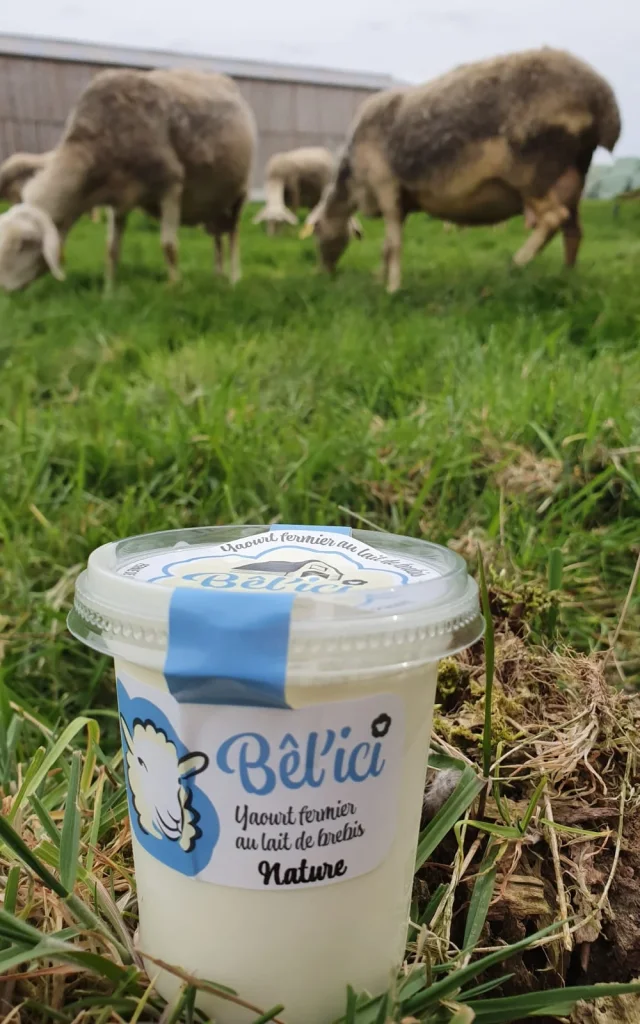 Yaourt Nature Belici Ferme De Lhaezepoel