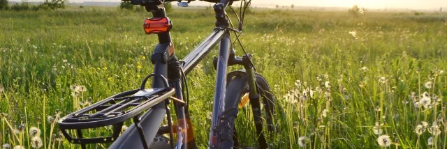 Feld Velo