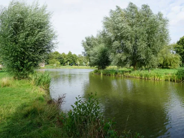 L'étang Des 3 Sources