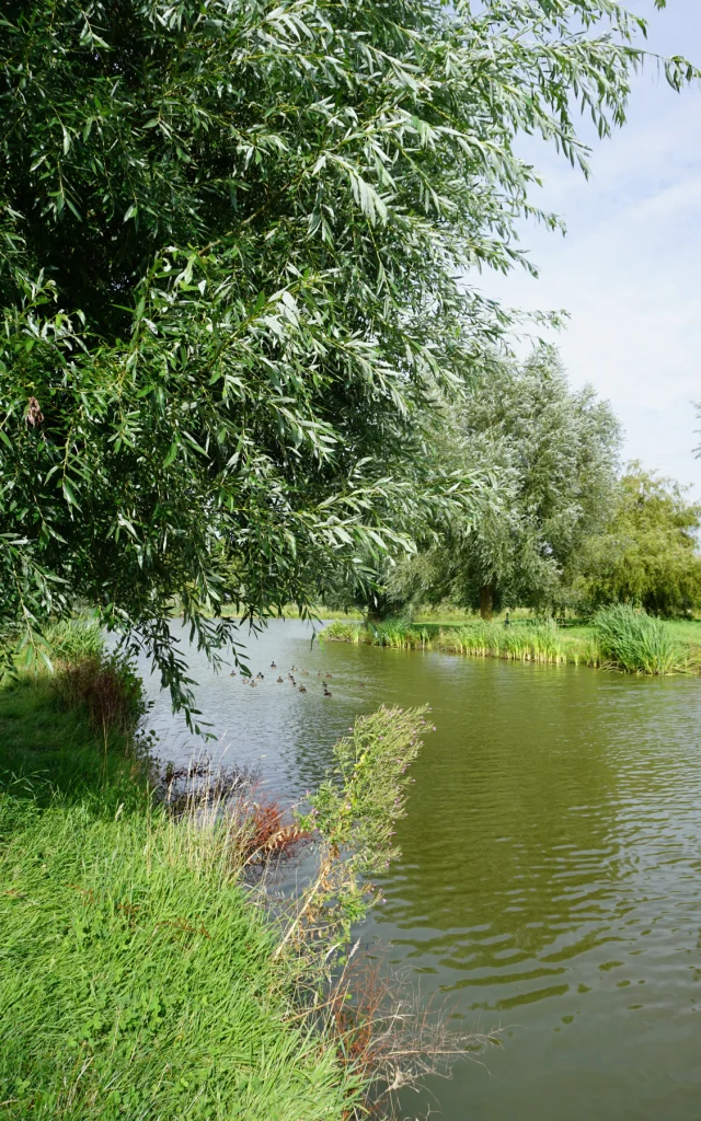 L'étang Des 3 Sources