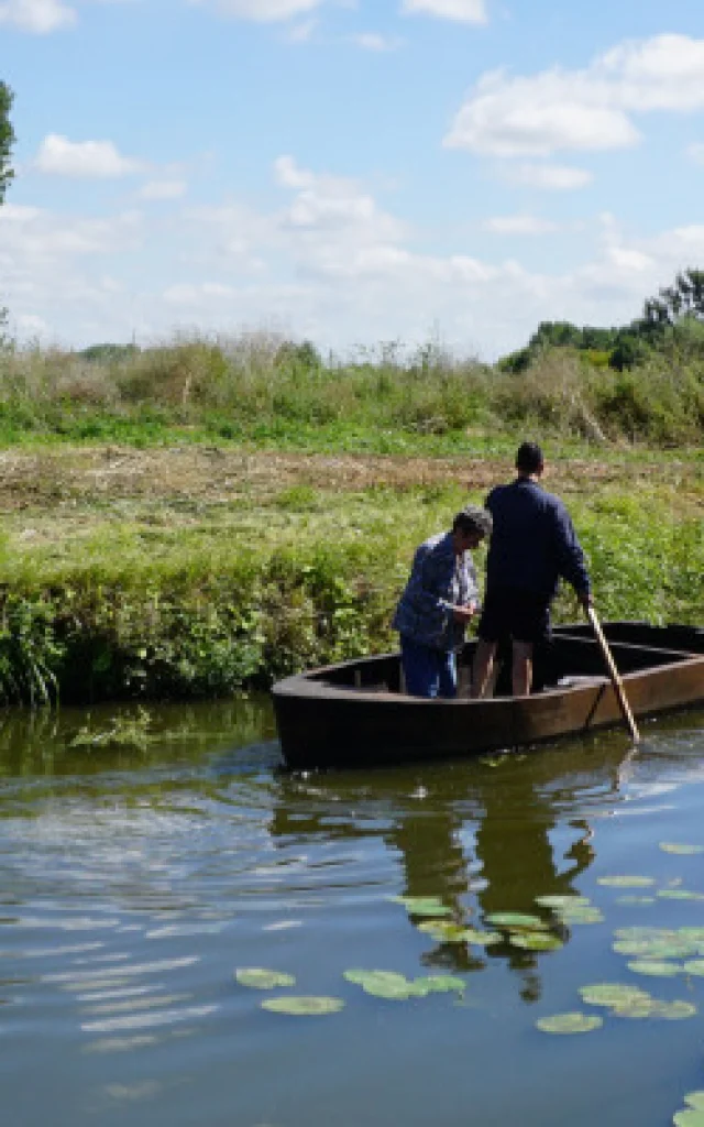 Marais de Booneghem