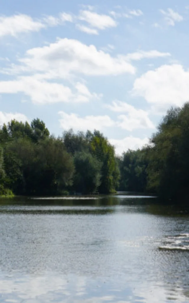 Marais de Booneghem