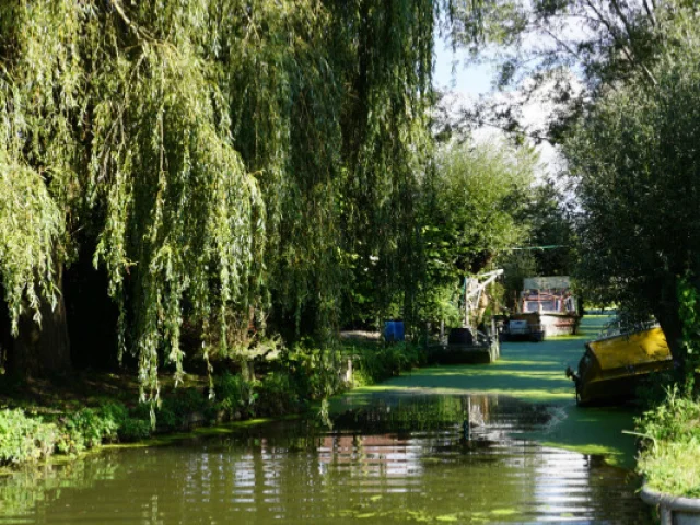 Marais de Booneghem