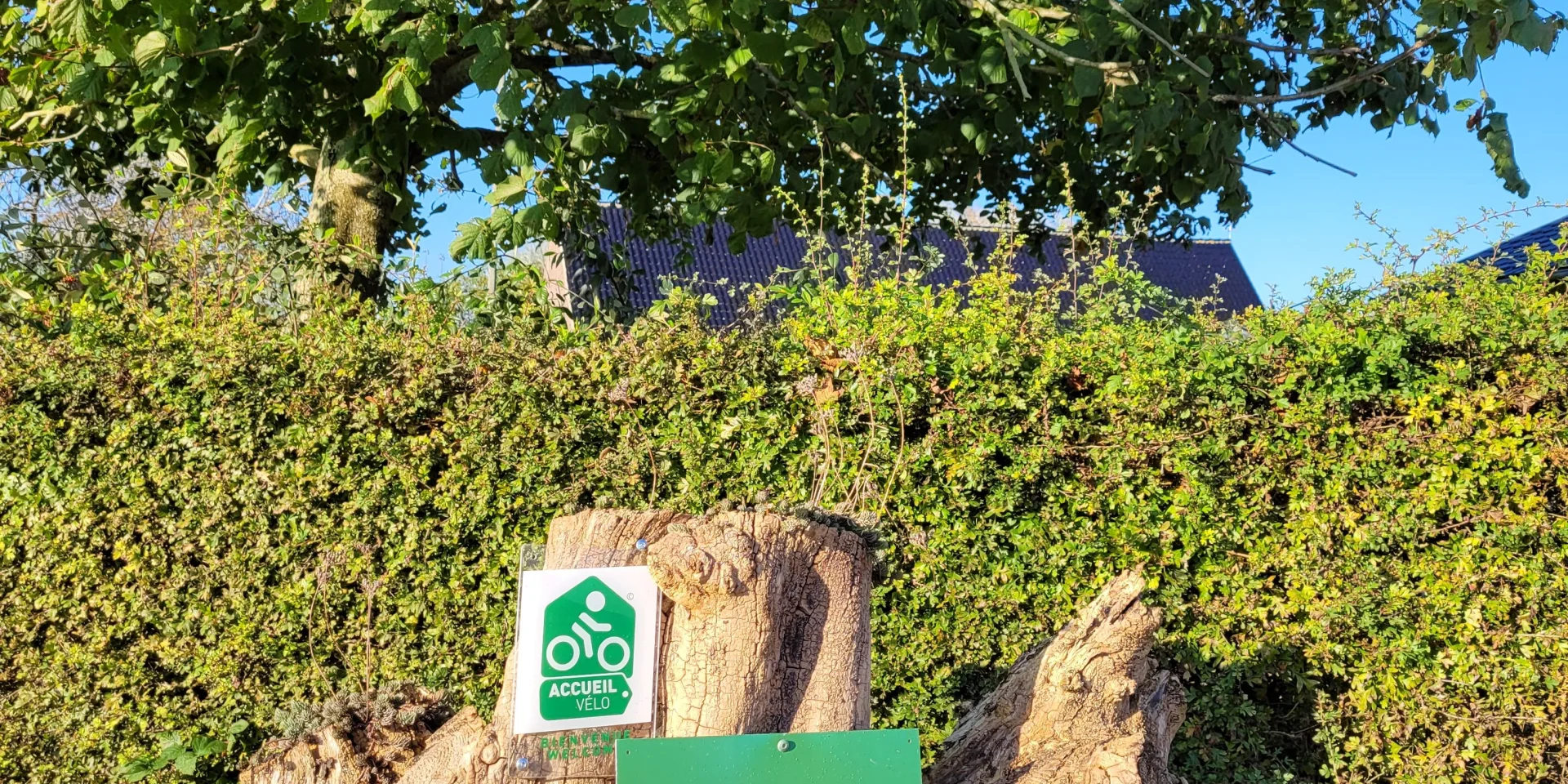 Accueil Vélo La Closeraie Des Aubépines