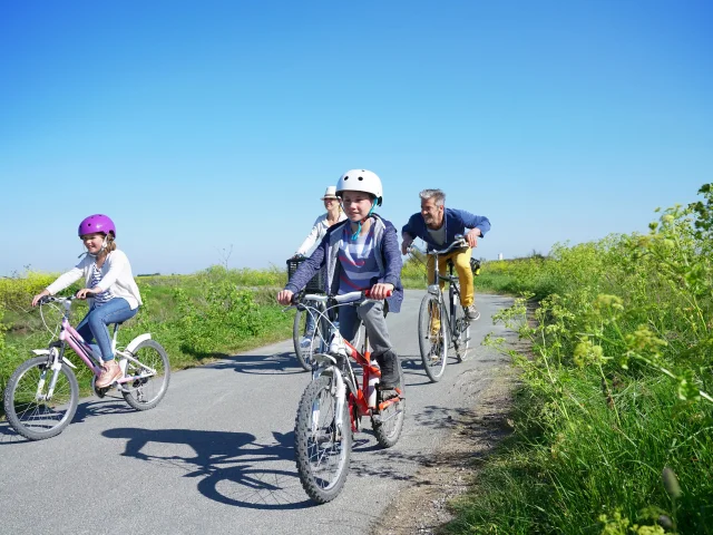 Location de vélo