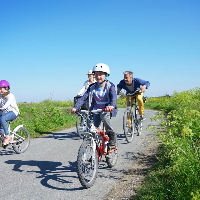 Location de vélo