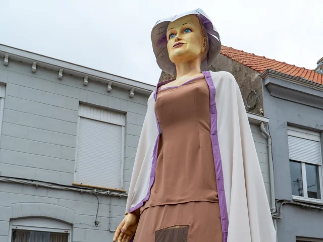Mme Bintje Hondschoote Cchf