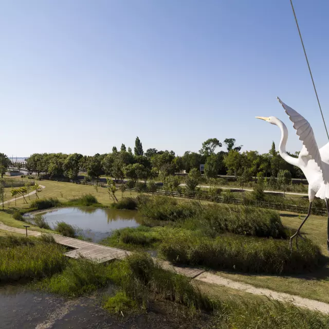 Tour panoramique zone gratuite accès libre Terres d'Oiseaux Estuaire