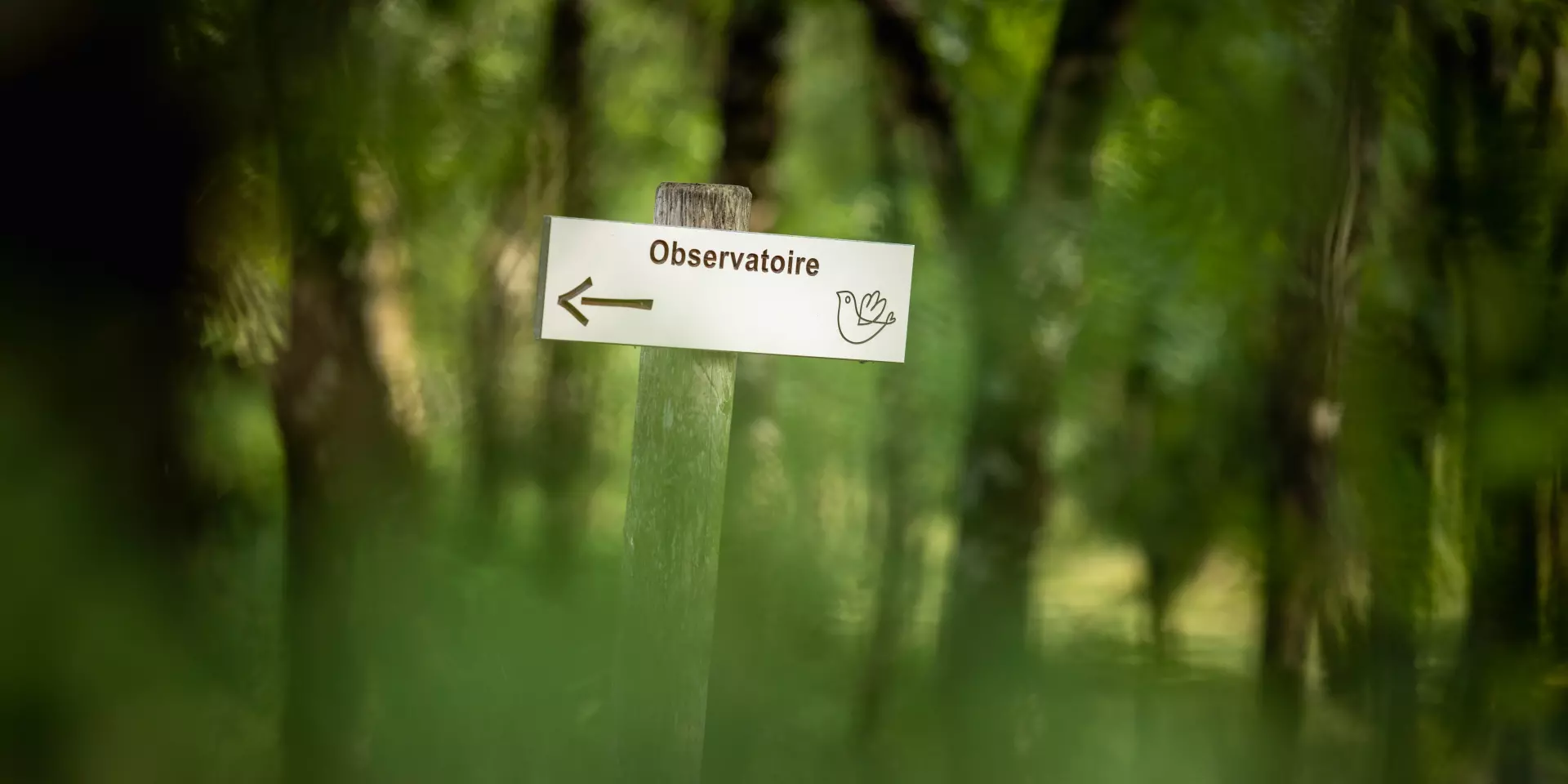 Signalétique Observatoire Terres d'Oiseaux parcours payant