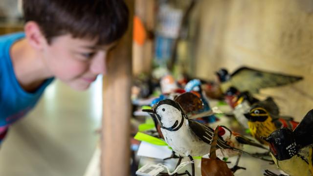 boutique Bâtiment d'accueil Terres d'Oiseaux gros plan passereaux fer forgé