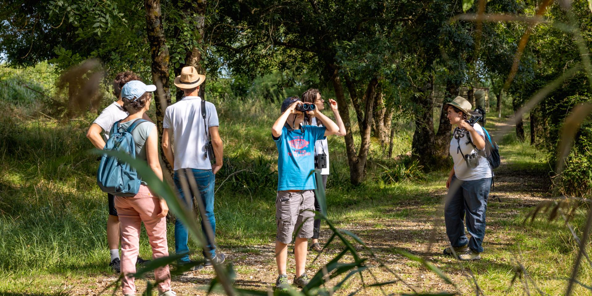 Famille observation jumelles parcours payant Terres d'Oiseaux