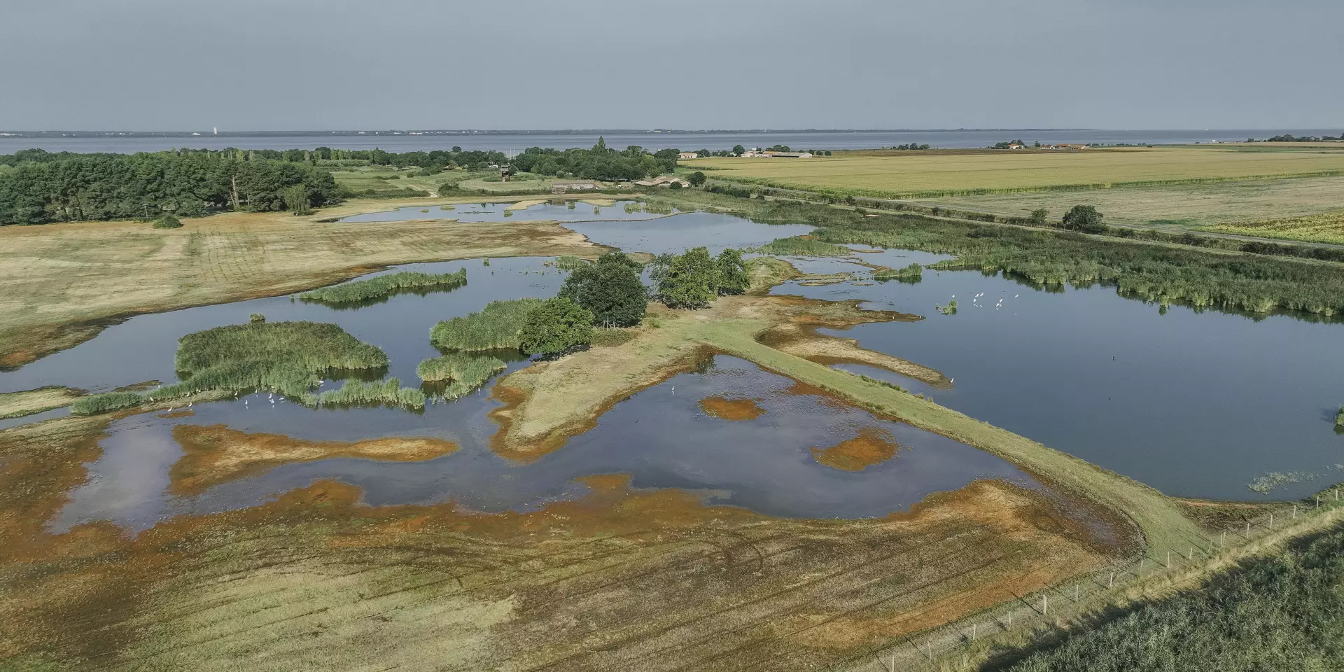 Vue aérienne Terres d'Oiseaux prairie temporaire