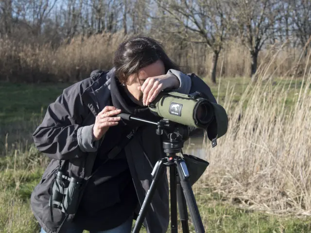 Carole guide nature Terres d'Oiseaux