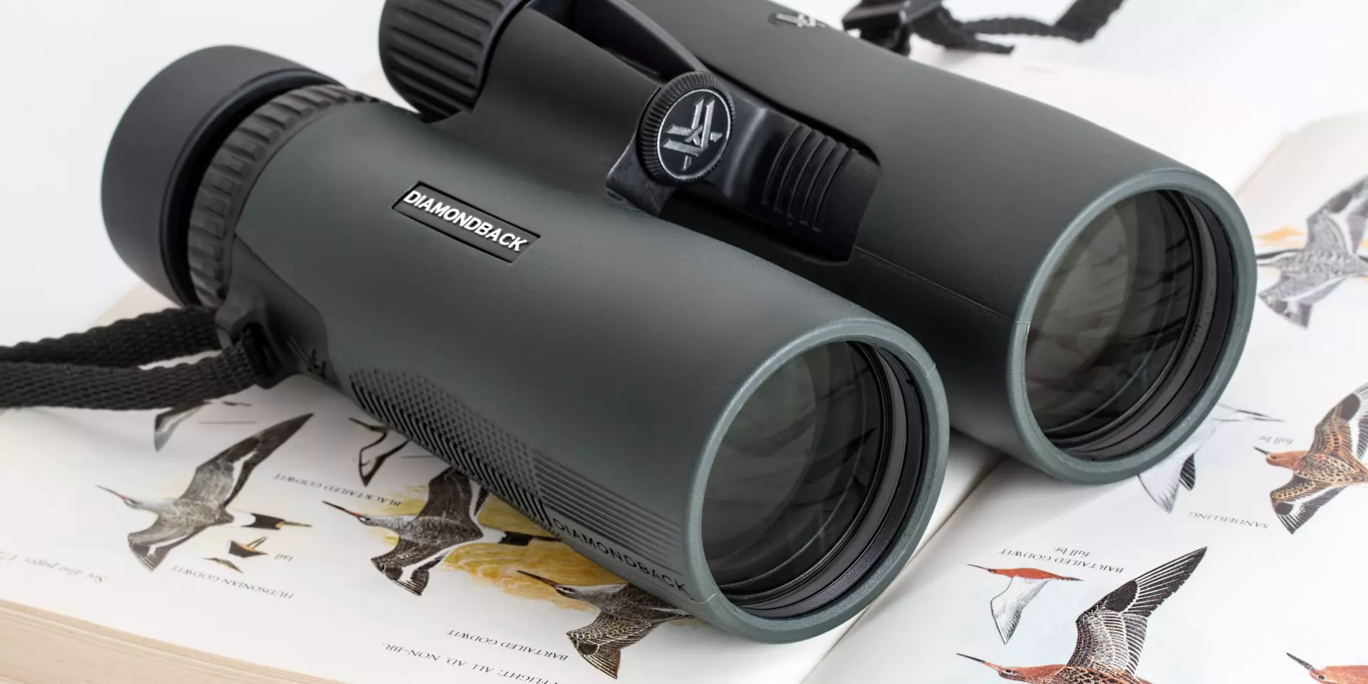 Binoculars 2164526 Steve Buissinne De Pixabay