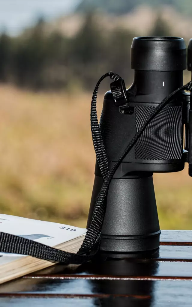 Binoculars 995779steve Buissinne De Pixabay