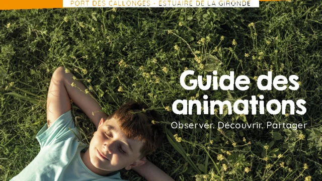 Guide Des Animations To 2025