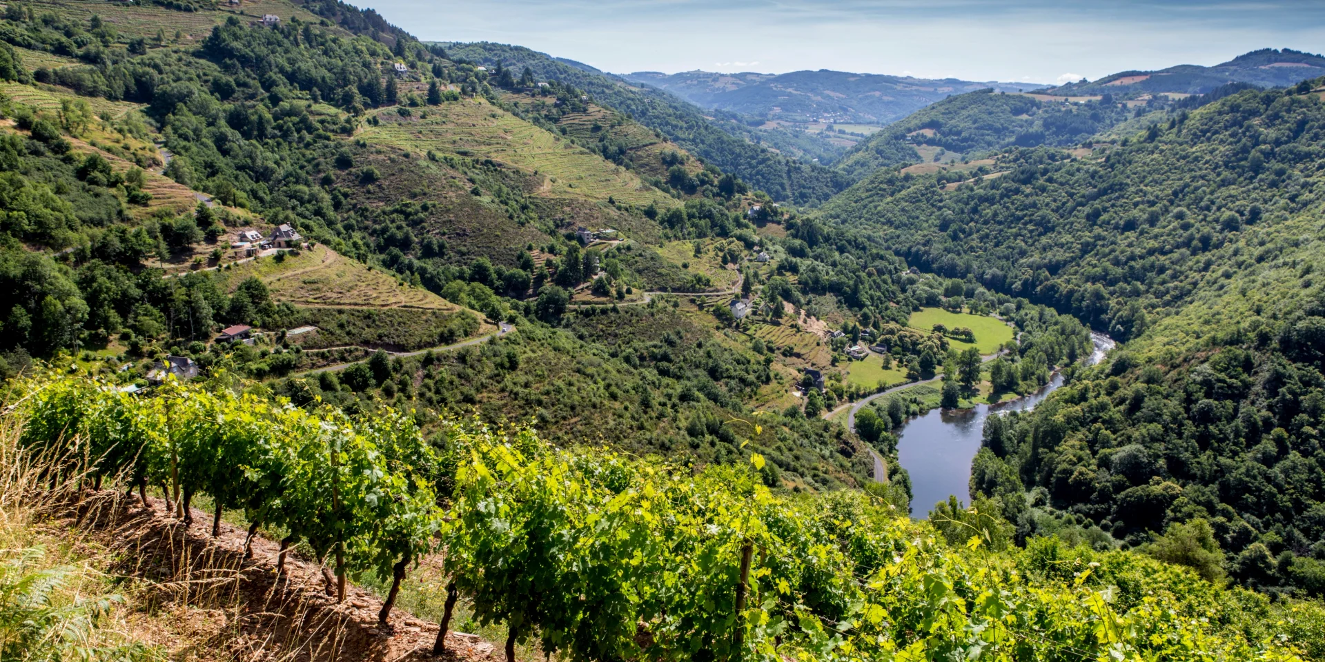 Panorama sur la Vallée du Lot depuis Le Fel