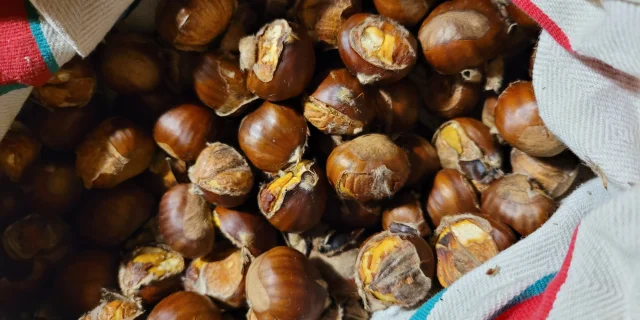 Grillée de châtaigne dans nos villages