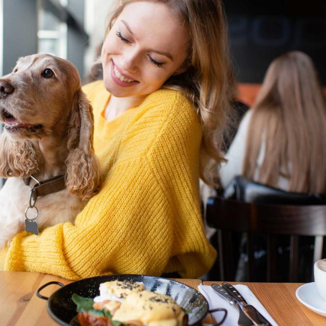 Resto Chien C Benevolente