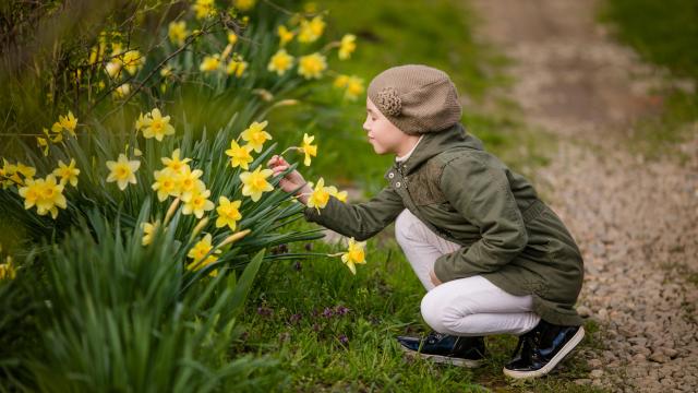 AdobeStock_238611015-c-Lena-May.jpeg