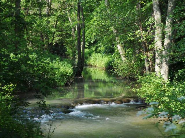 le_hoyoux_au_val_thibiemont_-_philippe_mariage_0.jpg