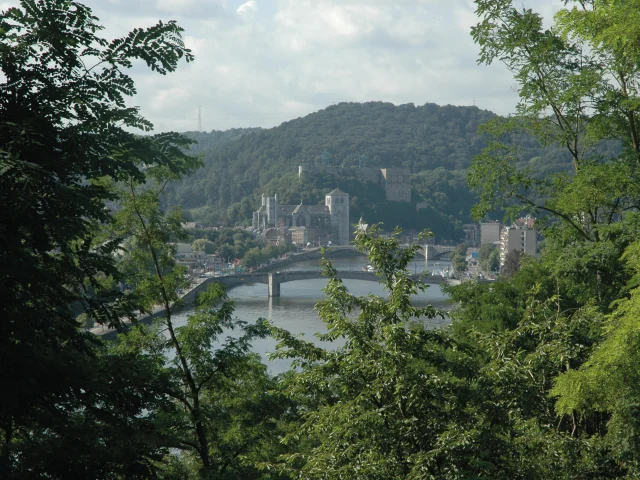 Vue de Huy