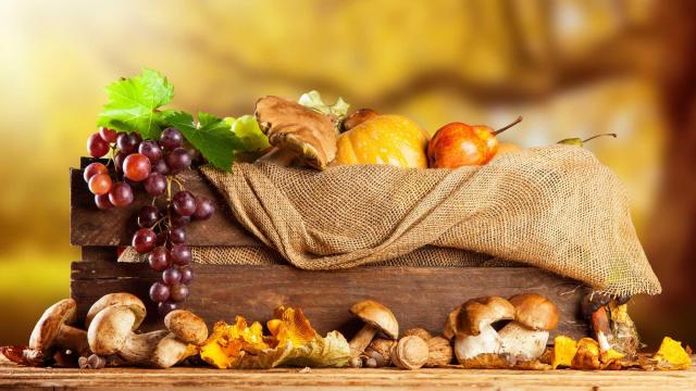 Saveurs Automne