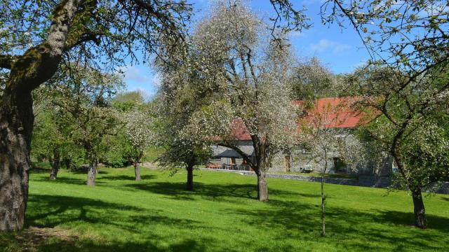 HERON_Lavoir_MoulinFerrieres_verger_Isabelle-Ebroin-1.jpg
