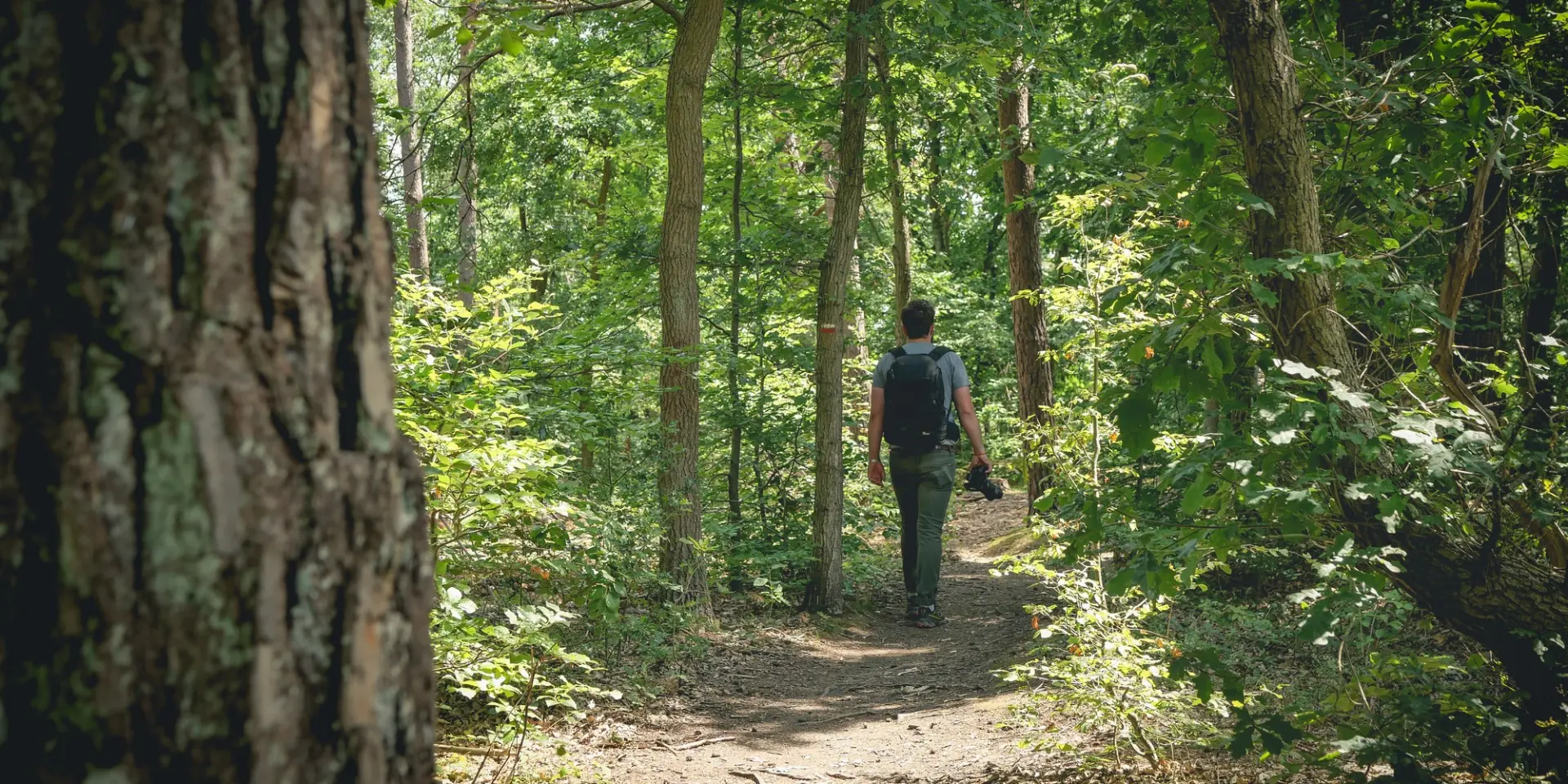 Terres De Meuse La Vallee De La Meuse Huy Reportage Video Trekking Et Voyage 2