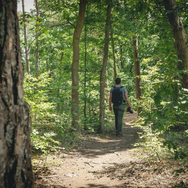Terres De Meuse La Vallee De La Meuse Huy Reportage Video Trekking Et Voyage 2