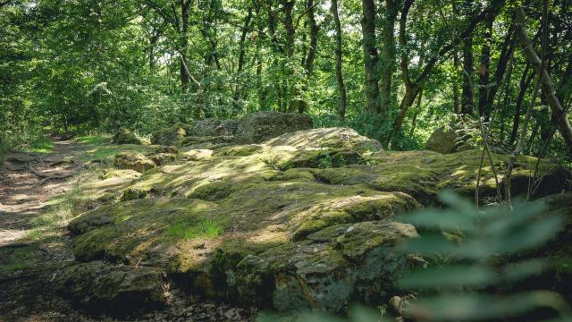 Terres De Meuse La Vallee De La Meuse Huy Reportage Video Trekking Et Voyage 8