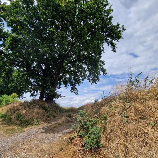 Balade du Tram - Donceel