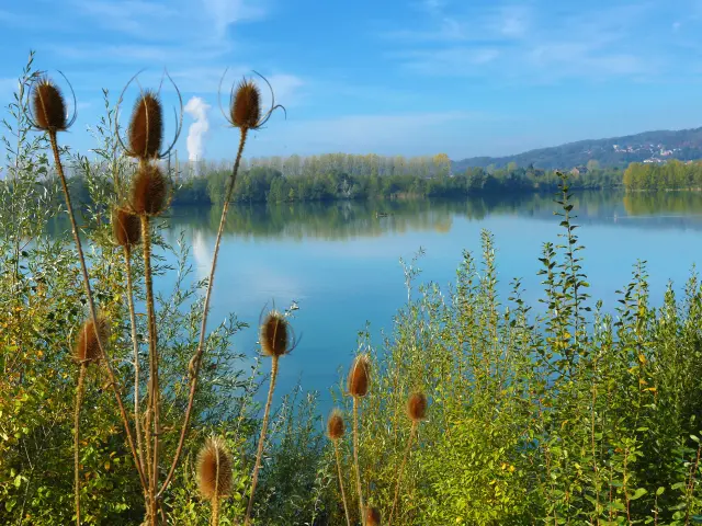 Lac de la Graviere - Amay