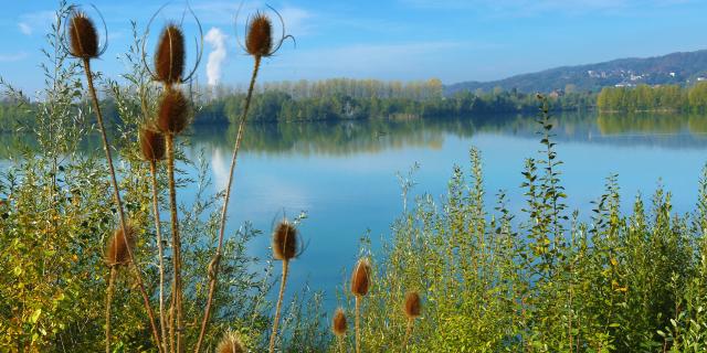 Lac de la Graviere - Amay
