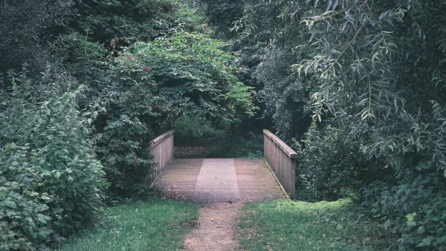 Promenade Wachnet